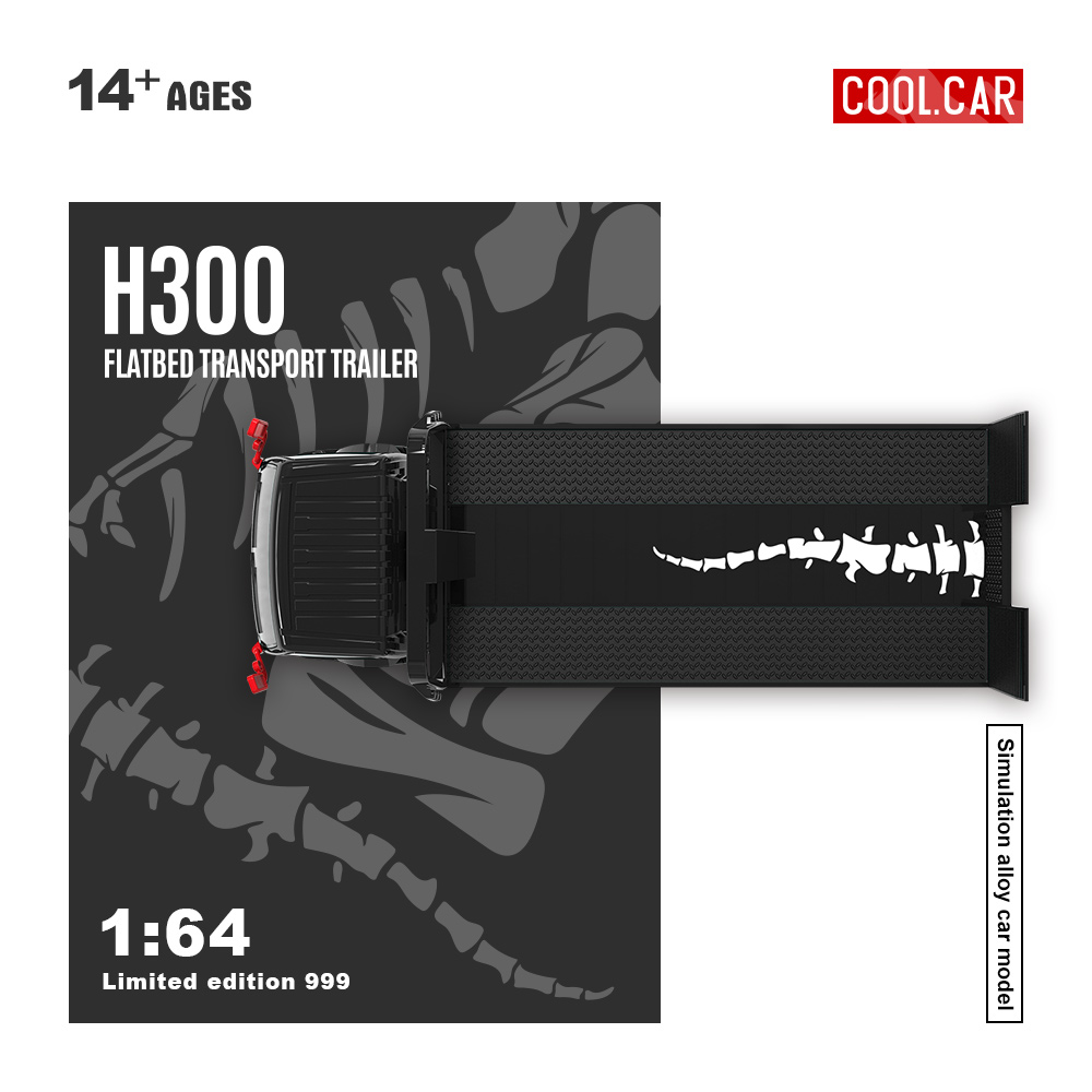 Cool Car 1:64 H300 Flatbed Tra - Die Cast Car 1 64 评论和价格