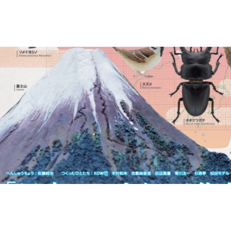 Japan Ikimon Gashapon Capsule  - Capsule Toy Gashapon 评论和价格