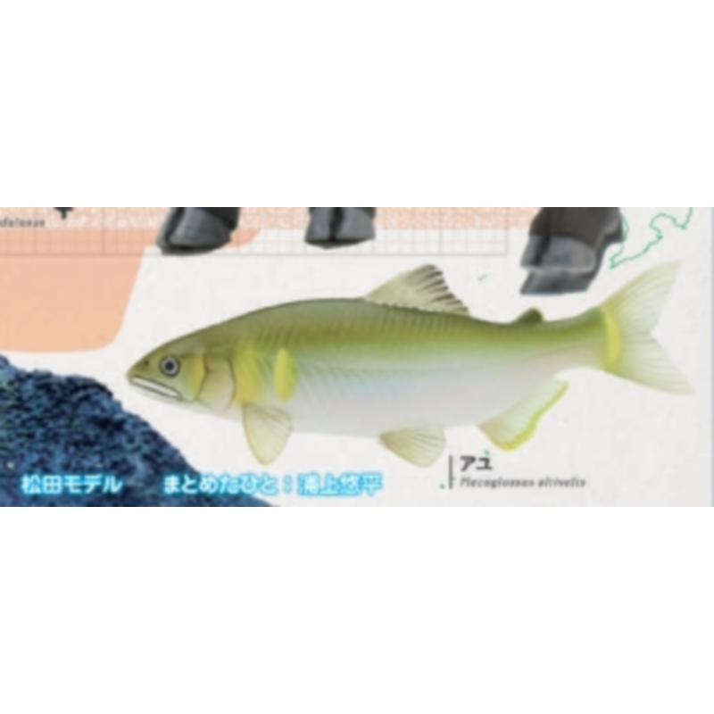 Japan Ikimon Gashapon Capsule  - Capsule Toy Gashapon 评论和价格